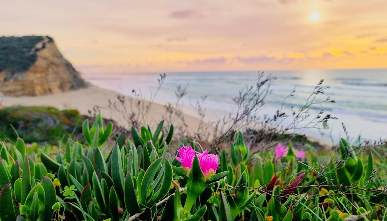 Tika Surf Camp Ericeira Otel Carvoeira Dış mekan fotoğraf